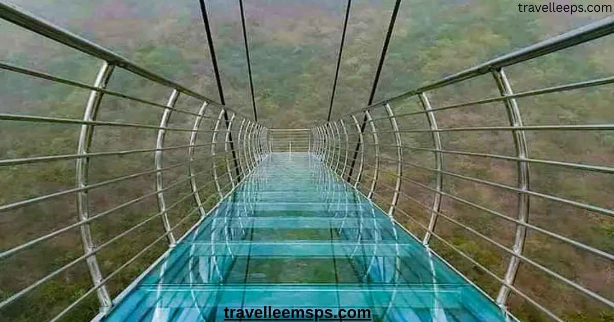Glass Bridge Rajgir Bihar with tourists walking on transparent glass deck surrounded by lush hills.